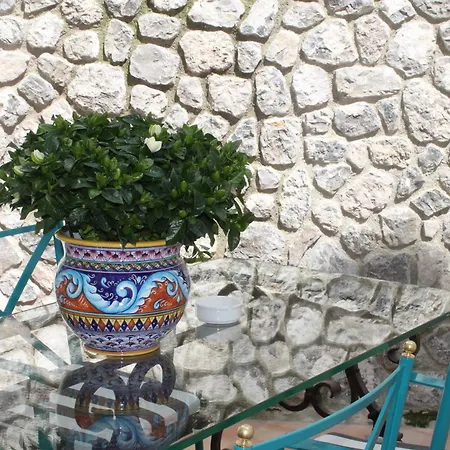 Guest house Diecisedici 3*