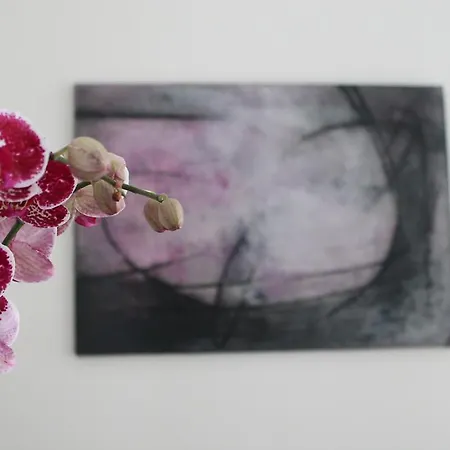 디에시세디치 아말피